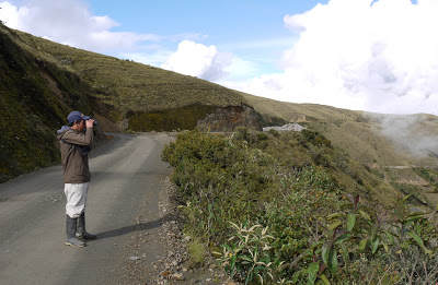 birding at acjanacu - Manu