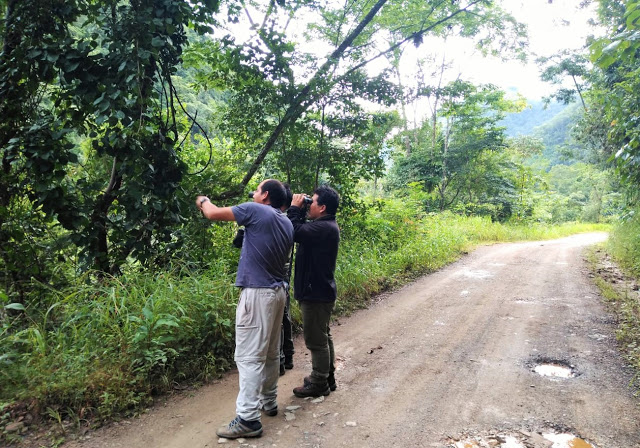 Birding along the Espiritu pampa Road