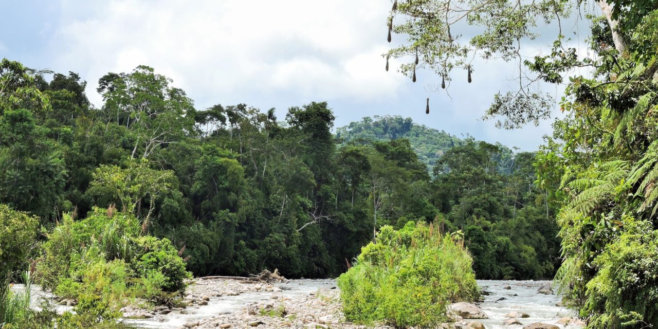 A glimpse to conservation Issues at Kosñipata Valley – Manu Biosphere Reserve